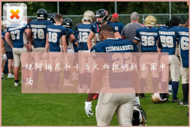 琼阿梅尼和卡马文加担纲新法国中场